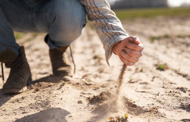 Le principali malattie professionali in agricoltura